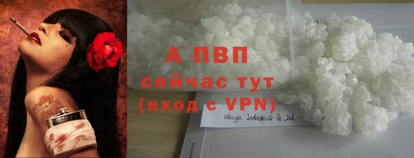 альфа пвп Корсаков