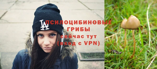 альфа пвп Корсаков