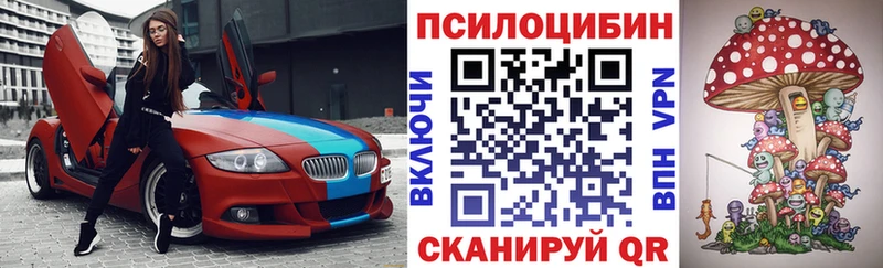 Купить где  Белоусово  Псилоцибиновые грибы мицелий 